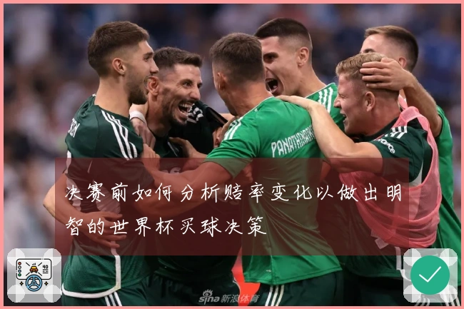决赛前如何分析赔率变化以做出明智的世界杯买球决策