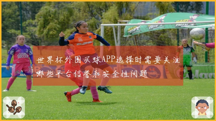 世界杯外围买球APP选择时需要关注哪些平台信誉和安全性问题