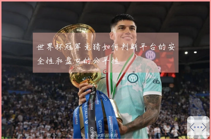 世界杯冠军竞猜如何判断平台的安全性和盘口的公平性