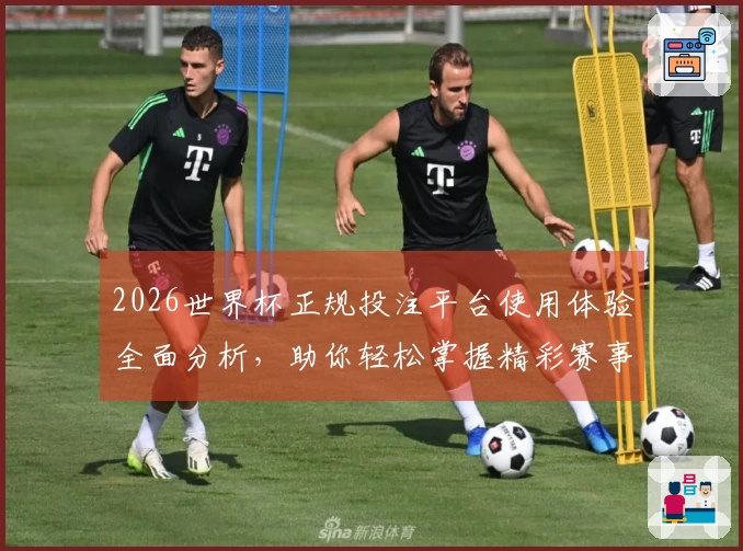 2026世界杯正规投注平台使用体验全面分析，助你轻松掌握精彩赛事动态