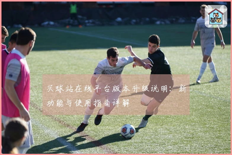 买球站在线平台版本升级说明：新功能与使用指南详解