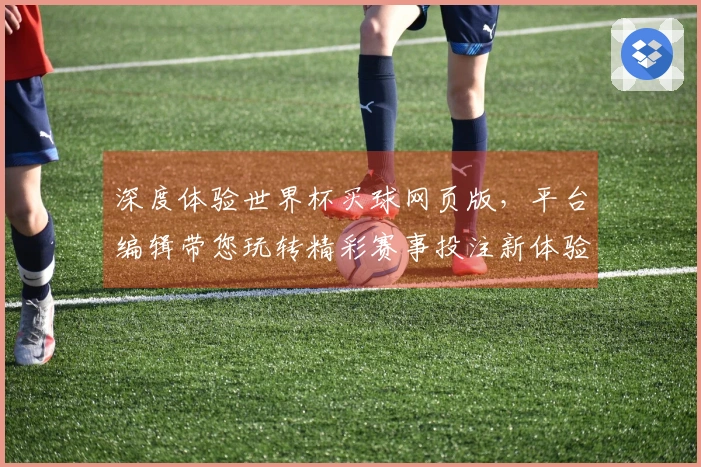深度体验世界杯买球网页版，平台编辑带您玩转精彩赛事投注新体验