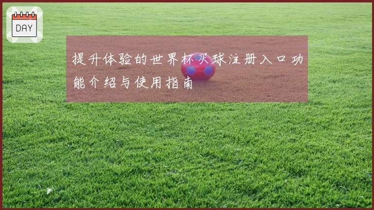 提升体验的世界杯买球注册入口功能介绍与使用指南