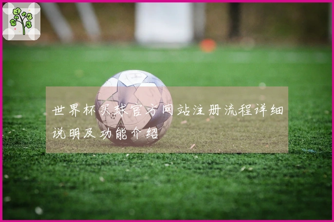世界杯买球官方网站注册流程详细说明及功能介绍