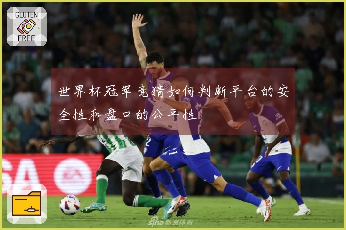 世界杯冠军竞猜如何判断平台的安全性和盘口的公平性