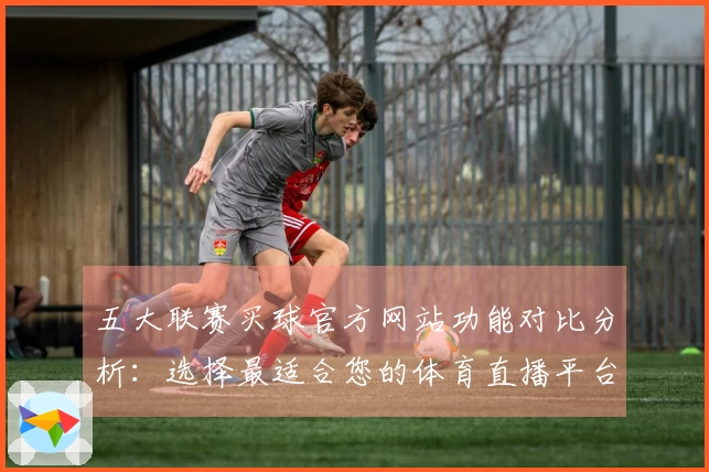五大联赛买球官方网站功能对比分析：选择最适合您的体育直播平台